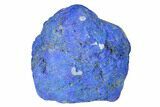 Vivid Blue, Cut/Polished Azurite Nodule - Siberia #175564-1